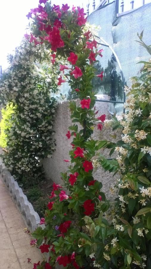 Bed And Breakfast Angolo Fiorito Civitavecchia Exterior foto
