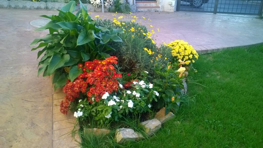 Bed And Breakfast Angolo Fiorito Civitavecchia Exterior foto