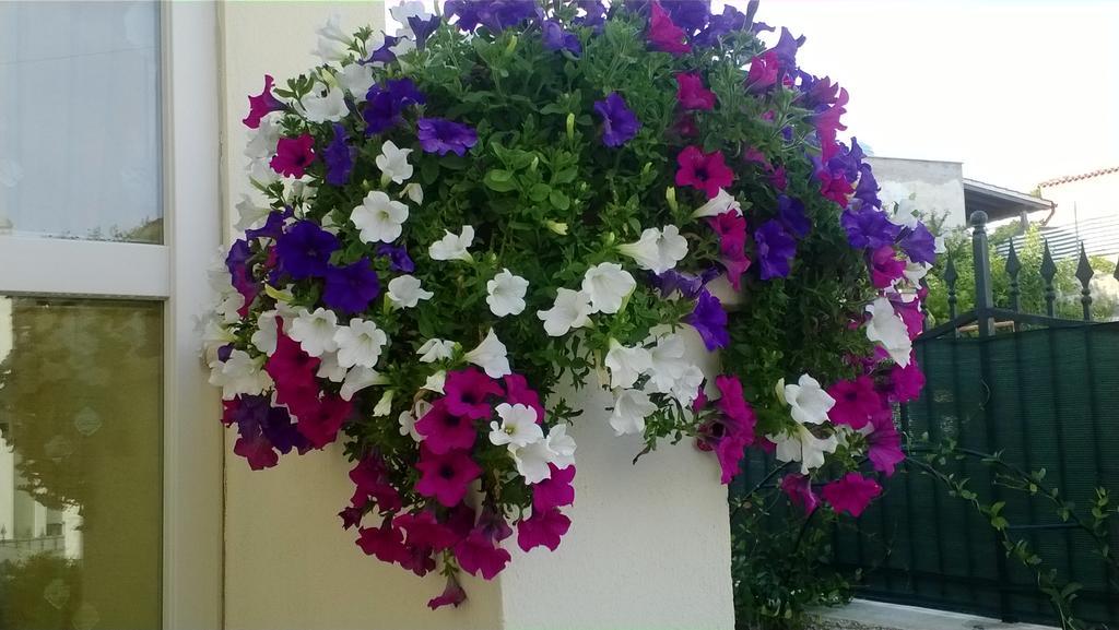 Bed And Breakfast Angolo Fiorito Civitavecchia Exterior foto