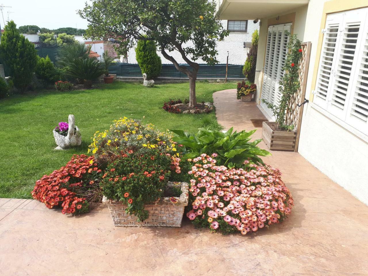 Bed And Breakfast Angolo Fiorito Civitavecchia Exterior foto