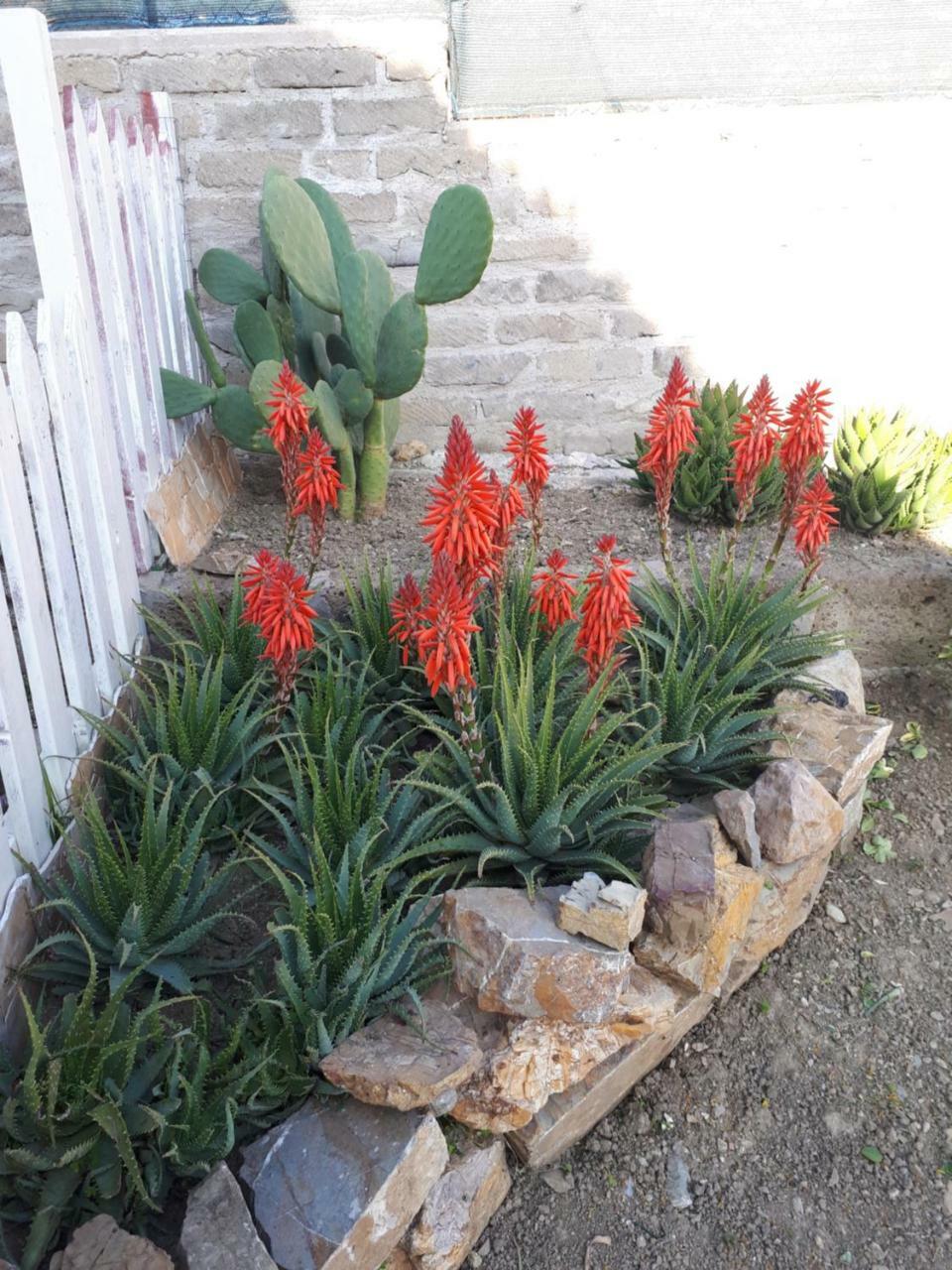 Bed And Breakfast Angolo Fiorito Civitavecchia Exterior foto